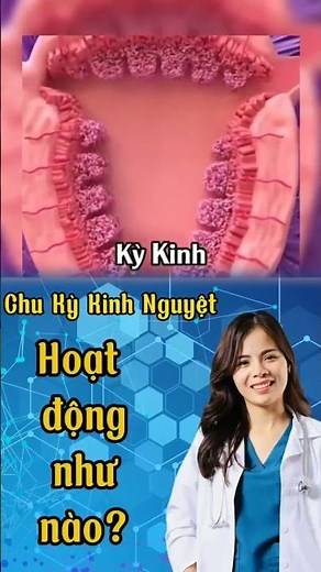 Chu kỳ kinh nguyệt hoạt động như thế nào? | Dr Thùy Dung #drthuydung #shrots #kinhnguyet