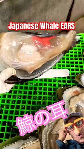 #鯨 #鯨魚 #japanesefood #asianbeauty #matcha #大谷 #美味しい #asianstreetfood #whale #whaleshark #blubber