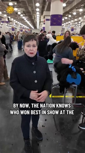 In its 150th year, dogs are still lining up to compete at the Westminster Kennel Club Dog Show — and who better than Martha Teichner, a dog-lover and author of "When Harry Met Minnie," to cover the show? She goes behind the scenes, this Sunday. | CBS Sunday Morning