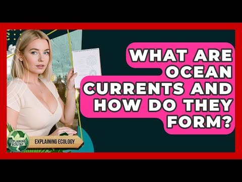 What Are Ocean Currents And How Do They Form? - Explaining Ecology