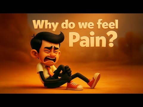 Why do we feel Pain? | #aumsum #kids #education #science