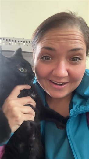 Fast Adoption Changes for Pets: Discover Chanel