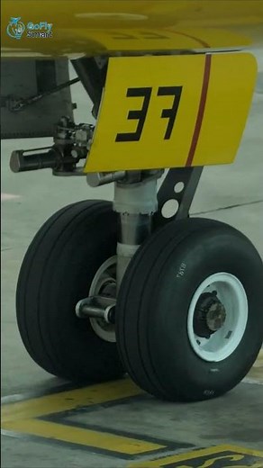 The World’s Longest Flight:#airplane #aviation#short