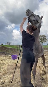I love my horse, i love my horse.