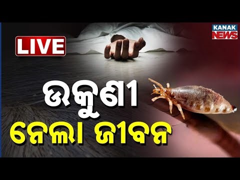 🔴Big Breaking | ଉକୁଣୀ ନେଲା ଜୀବନ | 12-YO Girl Dies Due to Severe Head Lice Infection | Kanak Digital