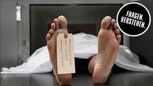 Autopsie einer Fettleibigen – "Es fühlt sich an wie Butter"