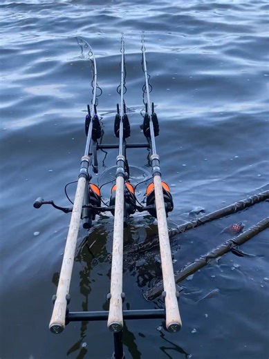 Carp Fishing Adventure: Tips and Tricks