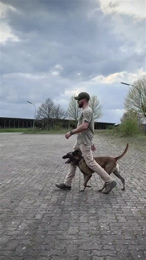 Michael Rogosin back up (@michael.rogosin825)’s videos with original sound - Michael Rogosin back up