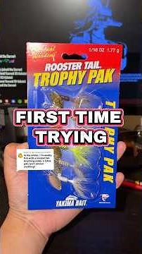 First Time Using a Rooster Tail ! #fishing #troutfishing #albuquerque #newmexico #zebco