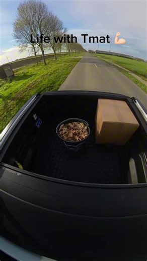 Full Control for Every Cargo with Pickup Trucks