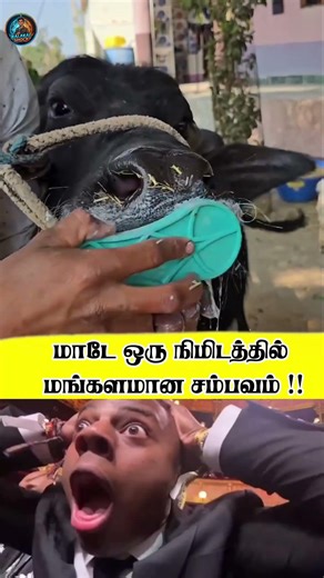 Colgate Sema ad | 😂😂 Kalakal Shock| #viralvideo #trending #trend #colgate #past #funny #memes