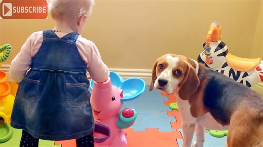 Learning is Fun—Watch This Beagle's Adorable Toy Tutorial for a Baby