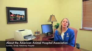 Today is AAHA-Accredited Hospital Day. Watch Summer's video to learn why Grady Veterinary Hospital is proud to be accredited. | Grady Vet