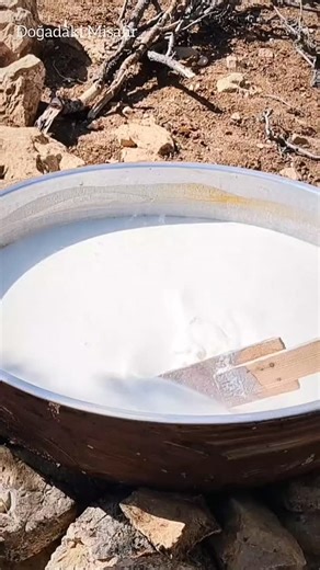 Doğadaki Misafir on Instagram: "Her derde Deva Tarhana"