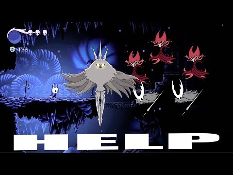 Hollow knight randomizer (for basically everything)