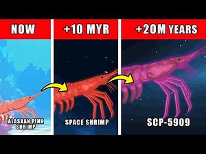 SCP-5909 Origin Evolution: How SCP-5909 (The Endless Shrimp) Could Have Evolved