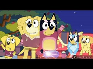 Bluey The Decider Chocolate Cake Recipe