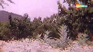 67K views · 6.1K reactions | Beautiful Song  | Golden Songs | Facebook