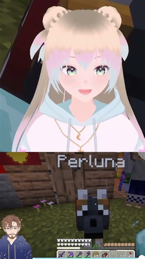 HOW RUDE #minecraft #origins #vtuber