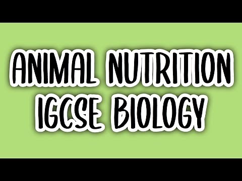 Animal Nutrition (#7) | IGCSE BIOLOGY (0610)