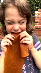 5.3K views · 55 reactions | HOMEMADE FRUIT LEATHER  I hate wasting...
