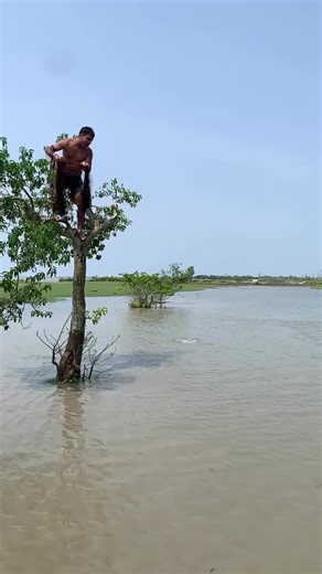 #catching #fishing #video