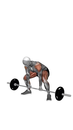 Barbell Deadlift High Pull.mp4