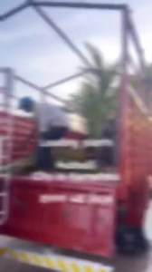 2.1K views · 12 reactions | Wholesale Nursery Plants on Reels | Facebook