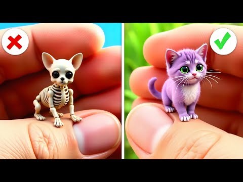 Hilarious Cat Reactions to Viral TikTok Trends Unleashed 💋 By Meow-some! Live