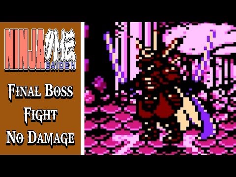Ninja Gaiden (NES) | Final Boss Fight (No Death)