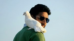 5 Bollywood Songs Featuring Kabootar | Herzindagi