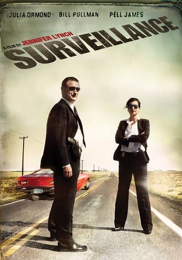 Surveillance (2008)