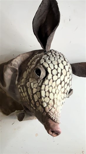 Replying to @MNM finished the armadillo just in time! #halloween #diycostume #armadillo #