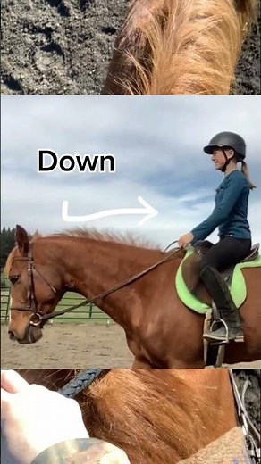 What is a riding diagonal? And how do you fix it? The diagonal explained in the description!