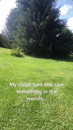 skinwalkers (@skinwalker.vidoes)’s videos with Scary - Background Sounds