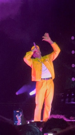 Tyler, The Creator — EARFQUAKE (Live at Rock en Seine) 🎶
