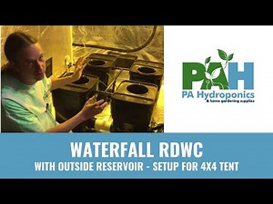 PA Hydroponics 4 Plant Fallponic Waterfall RDWC Setup with Reservoir Outside 4x4 Tent