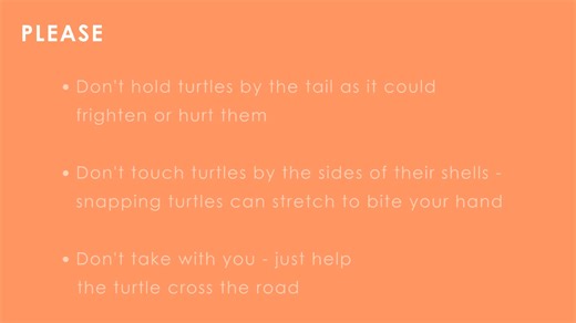 Humane Society of Huron Valley on Reels