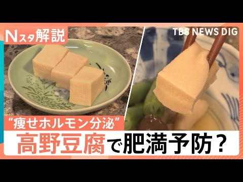 高野豆腐に肥満予防の可能性 新研究で“痩せホルモン”分泌も ガパオやかりんとうなど煮物以外の活用術【Nスタ解説】｜TBS NEWS DIG