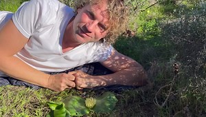 257 reactions · 71 shares | This is a bulb like no other, the hedgehog lily (Massonia depressa) has adapted its flowers for polination by mammals. #bulbs #indigenousplantssouthafrica #leonkluge #rarebulbs #plantsofinstagram #thisissouthafrica #plantsaremagic #plantslife #hikingsouthafrica #capetown #exploremore #capeflora #westerncape #capetown #fynbos #leonklugeplantsafaris #rarebulbs BBC Earth | Leon Kluge | Facebook