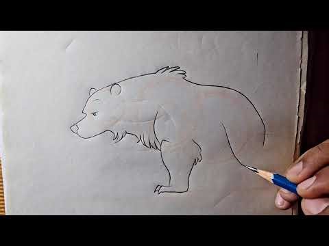 How to Draw a Bear Step by Step | Easy Drawing Tutorial