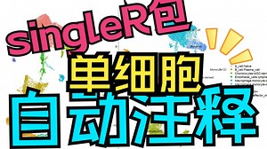 🧬手动注释太麻烦！用SingleR实现自动注释