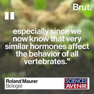 13K views · 406 reactions | Maybe It’s Time to Take Animal Feelings Seriously - The results of a number of recent studies suggest that many of the traits and abilities we believe are uniquely human in fact are not unique to us. https://www.thecut.com/2016/02/the-scientific-case-for-anthropomorphism.html What You Can Do to Help Improve Animal Welfare https://www.animalmatters.org/what-you-can-do/ | Animal Matters | Facebook