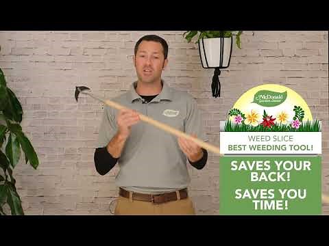 Weed Slice, The Very Best Weeding Tool