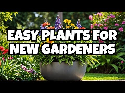 NEW to Gardening? Easy Perennials for Beginners to THRIVE!