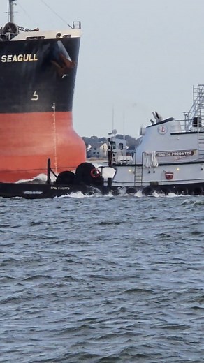 2.4K views · 23 reactions | #Ship Pulling Through | Richard LeBel | Facebook