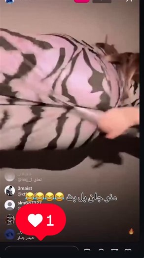 ‎طَماطه👄.‎ on Instagram‎: "المقطع كامل بالستوري 💖👆🏻 . The lungs are inside the chest, protected by the ribcage and wrapped in a membrane called the pleura. The lungs look like giant sponges. They are filled with thousands of tubes, branching smaller and smaller. The smallest components of all are the air sacs, called ‘alveoli’. Each one has a fine mesh of capillaries. This is where the exchange of oxygen and carbon dioxide takes place. • The breathing muscles To stay inflated, the lungs rely