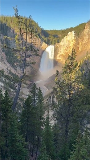 Grand Canyon of the Yellowstone & Lower Falls | Yellowstone National Park