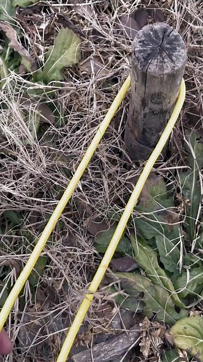 1.3M views · 10K reactions | Wow, the coolest way to tie Bowline #knot #reels #fpy | Knot Master | Facebook