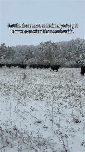 First snow of the year ❄️ And we’re out here moving cows because life on the farm doesn’t stop when it gets cold. It reminded me how business is the same way. You can’t wait for the “right time,” the perfect setup, or a clear path. Sometimes you just have to move, even when visibility is low. Growth doesn’t happen from comfort; it happens from commitment. And if we’re willing to work through the cold seasons - in life, faith, and business - the harvest always comes. So here’s your sign to stop w